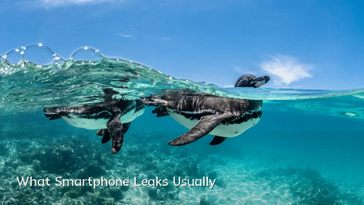 What Smartphone Leaks Usually