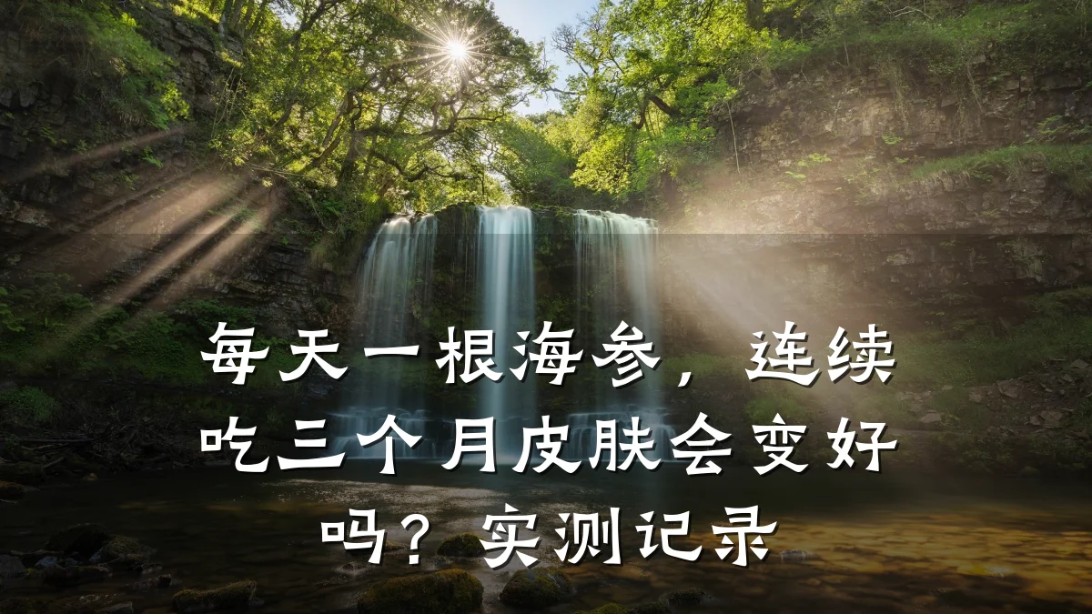每天一根海参,连续吃三个月皮肤会变好吗?实测记录