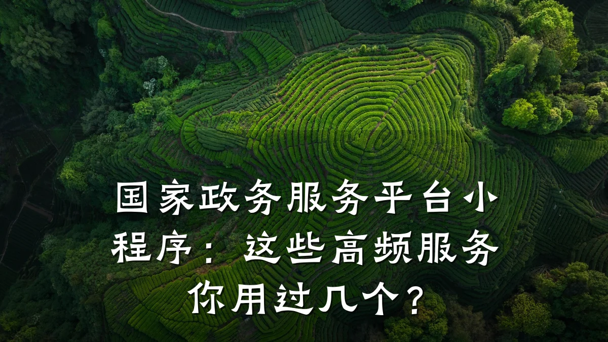 国家政务服务平台小程序:这些高频服务你用过几个?