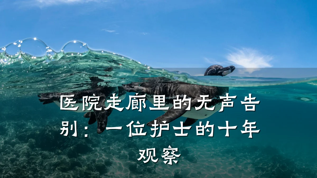 医院走廊里的无声告别:一位护士的十年观察