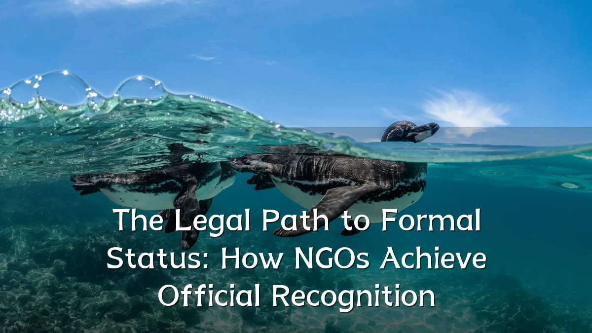 The Legal Path to Formal Status: How NGOs Achieve Official Recognition