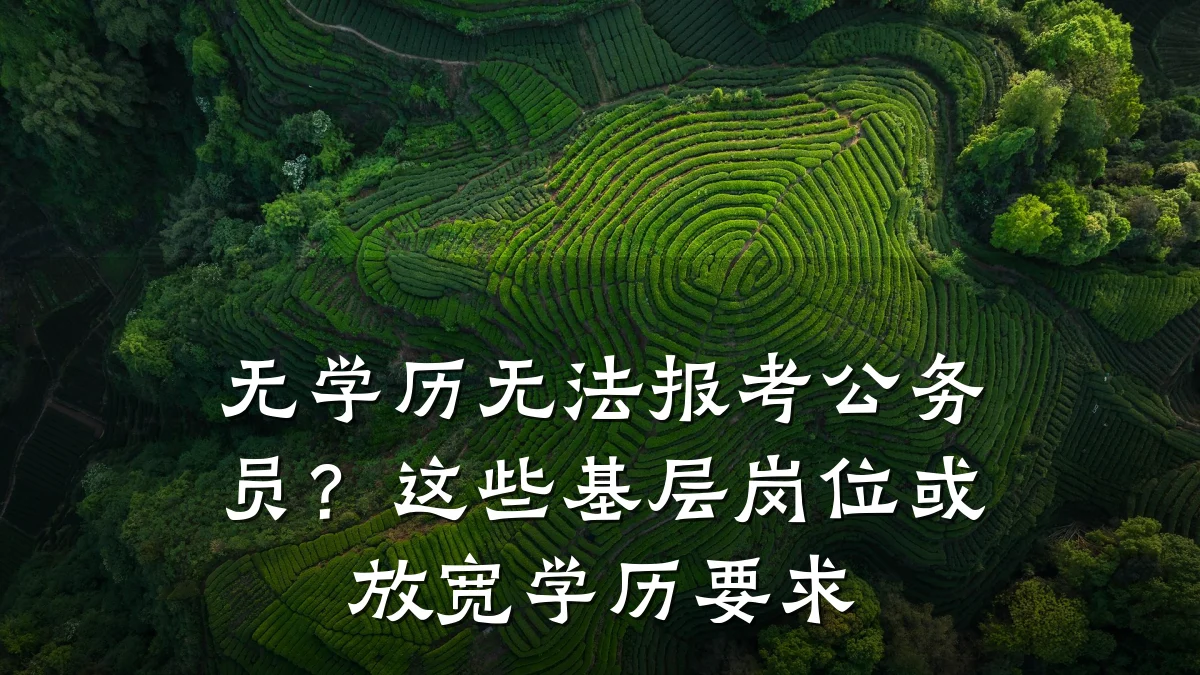 无学历无法报考公务员?这些基层岗位或放宽学历要求