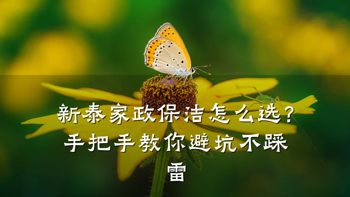 新泰家政保洁怎么选？手把手教你避坑不踩雷