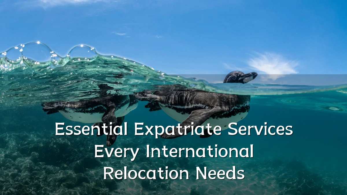 Essential Expatriate Services Every International Relocation Needs