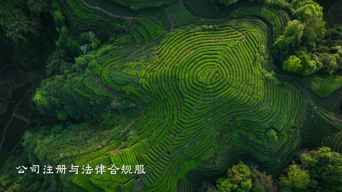公司注册与法律合规服