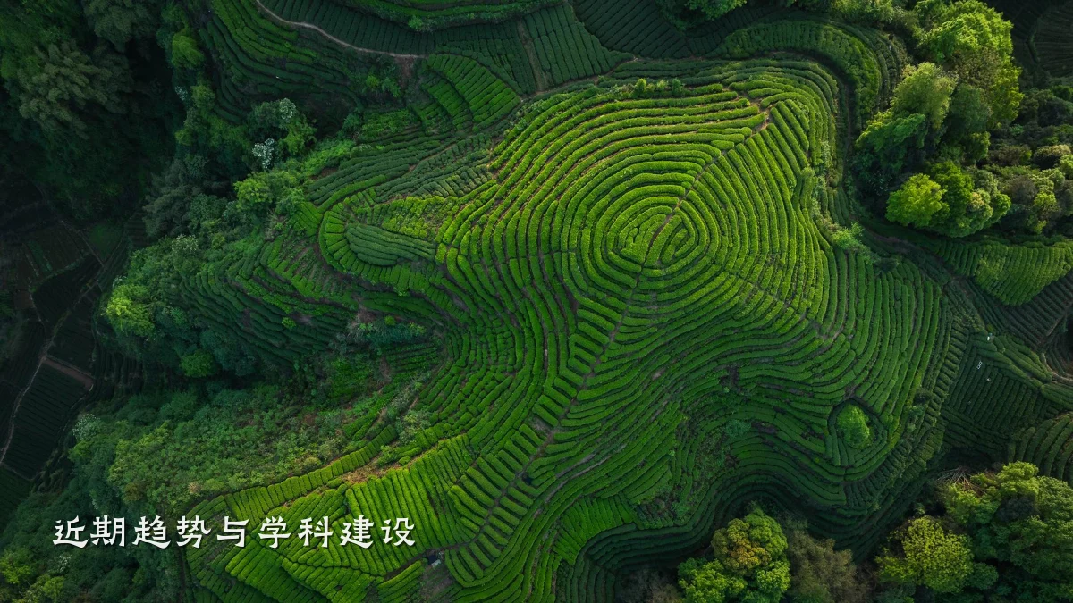 近期趋势与学科建设
