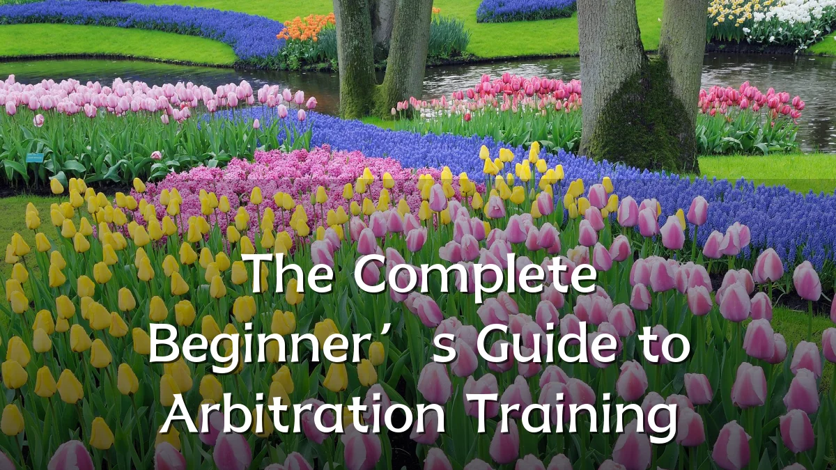 The Complete Beginner’s Guide to Arbitration Training