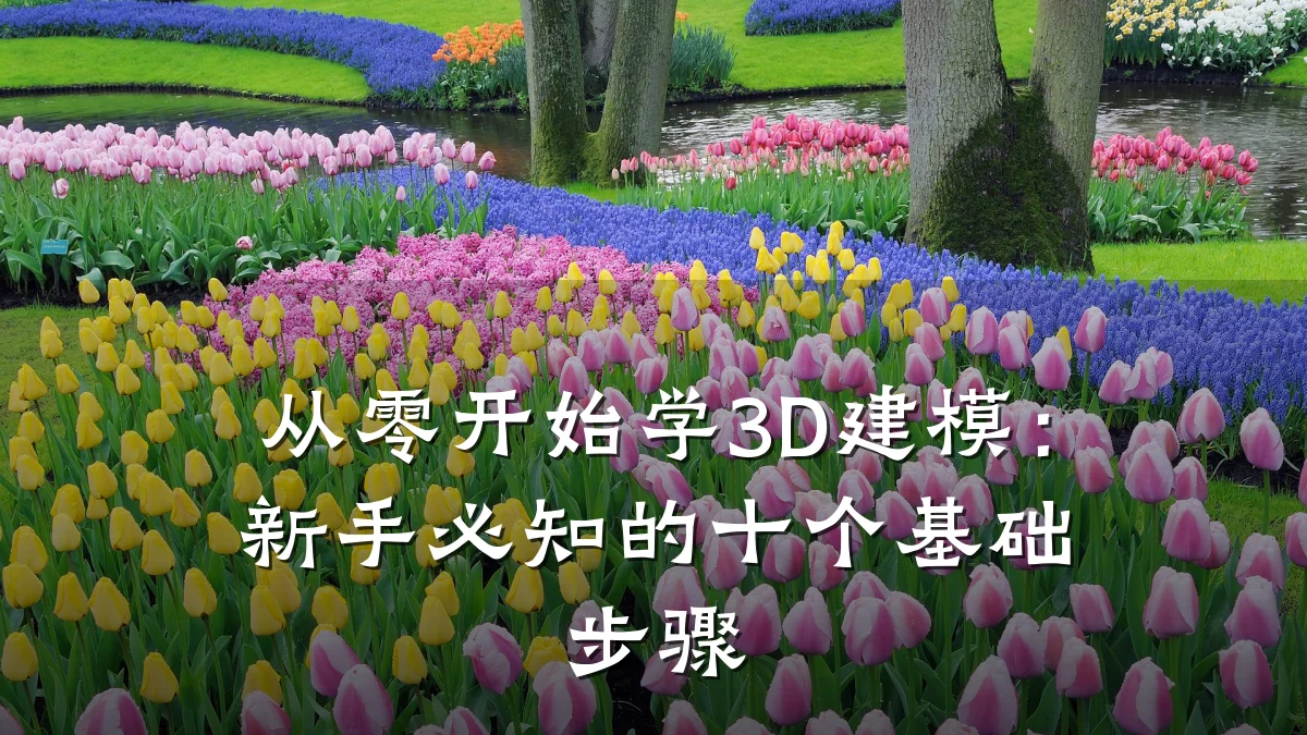 从零开始学3D建模:新手必知的十个基础步骤