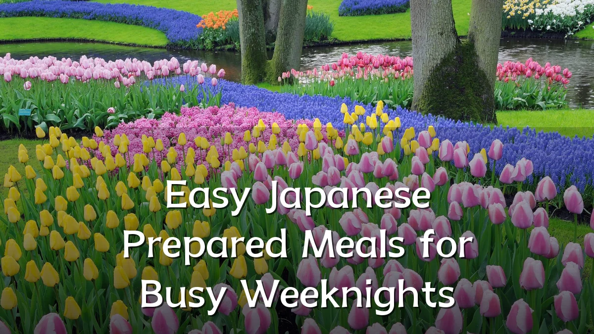 Easy Japanese Prepared Meals for Busy Weeknights