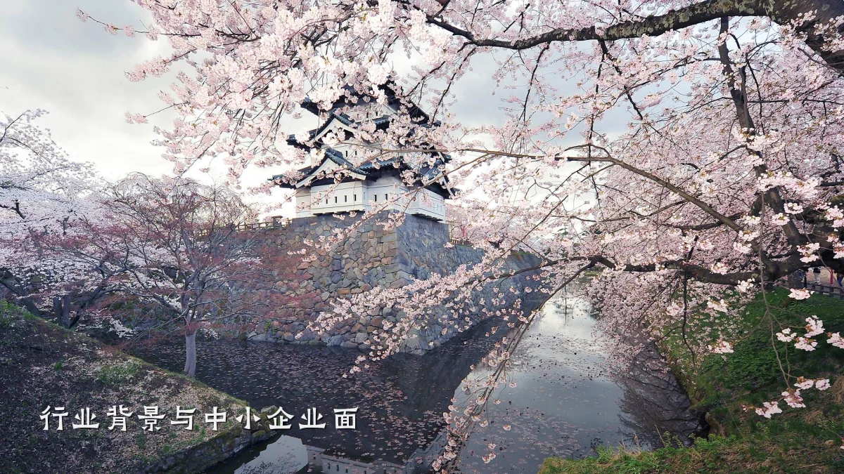 行业背景与中小企业面