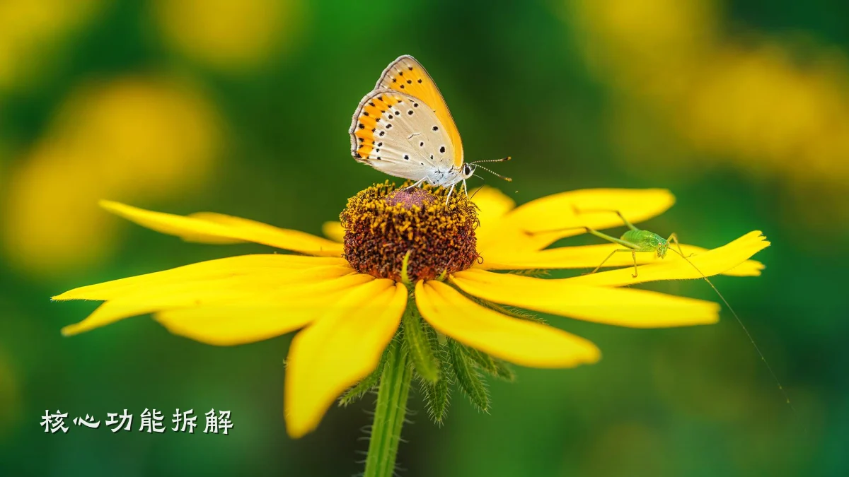 核心功能拆解