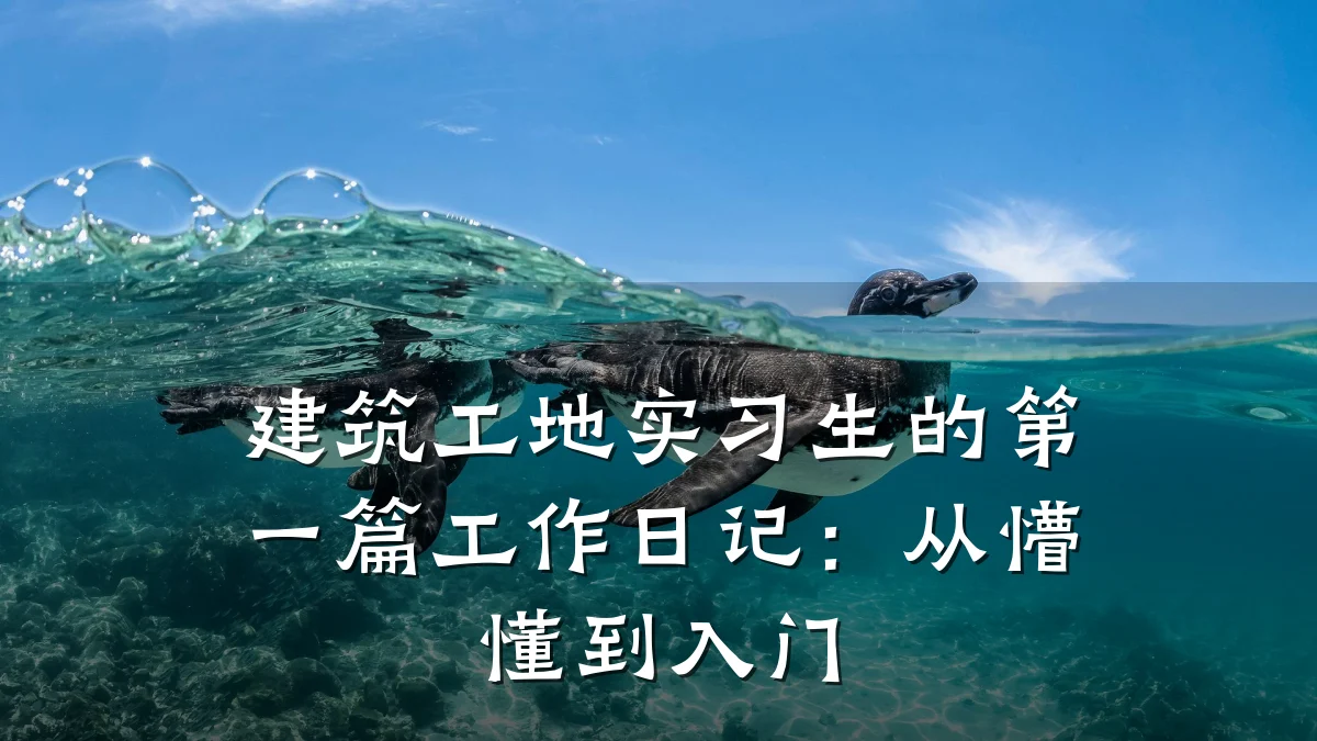 建筑工地实习生的第一篇工作日记:从懵懂到入门