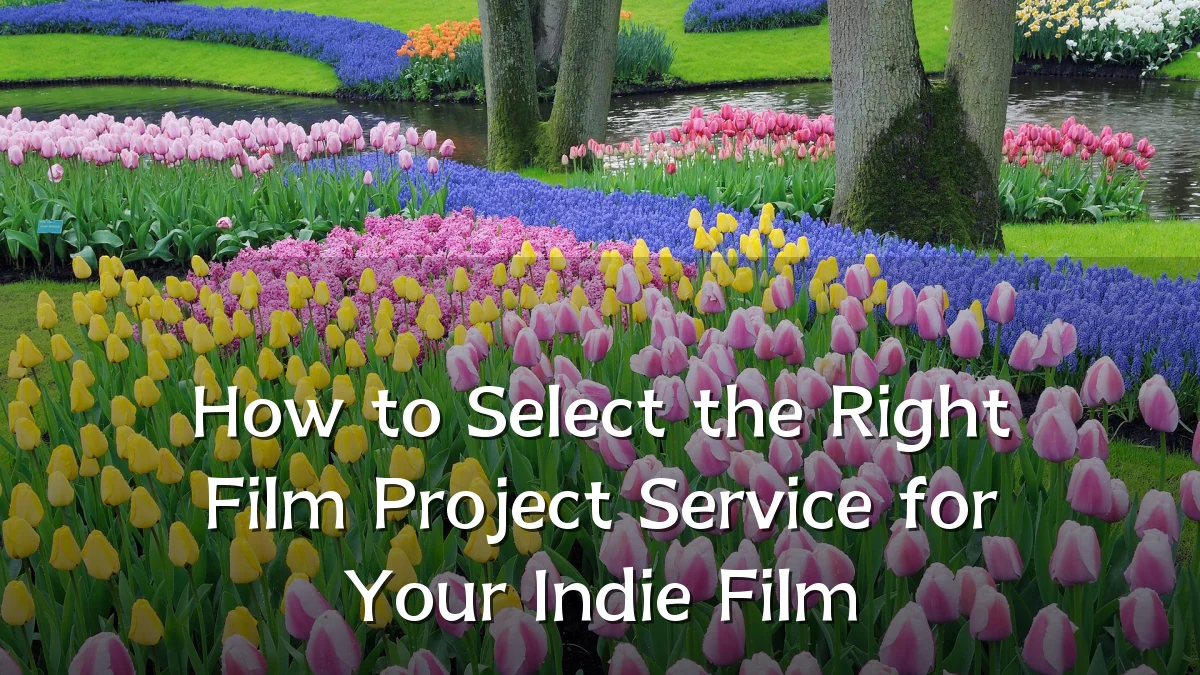 How to Select the Right Film Project Service for Your Indie Film