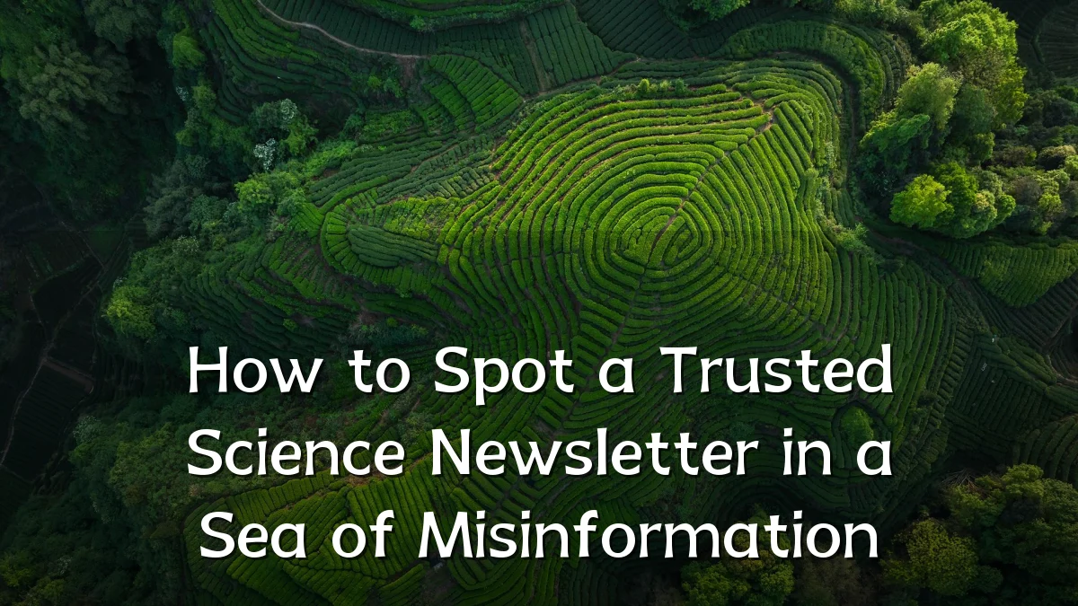 How to Spot a Trusted Science Newsletter in a Sea of Misinformation