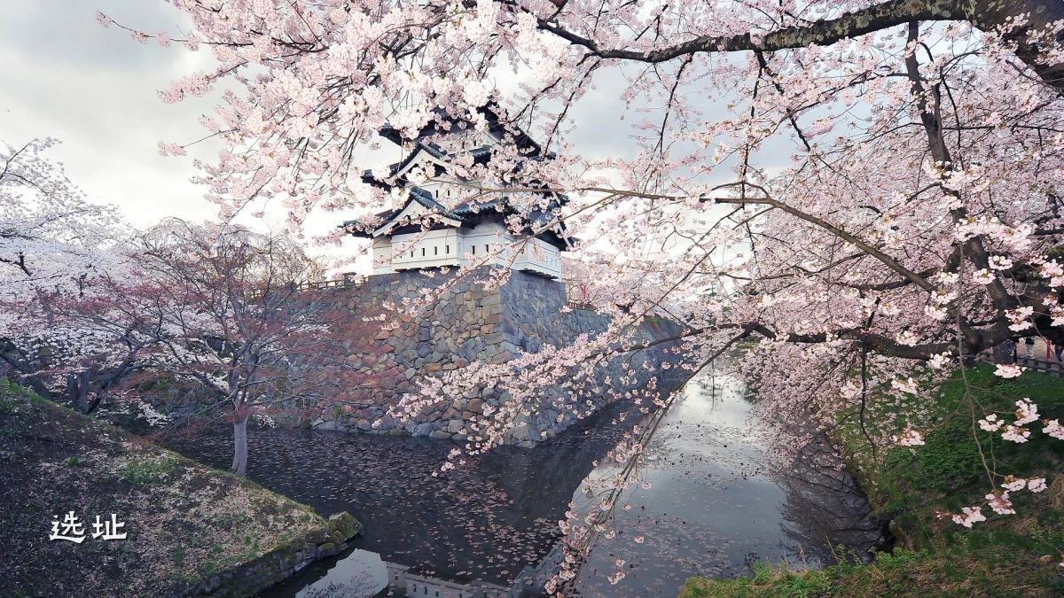 选址