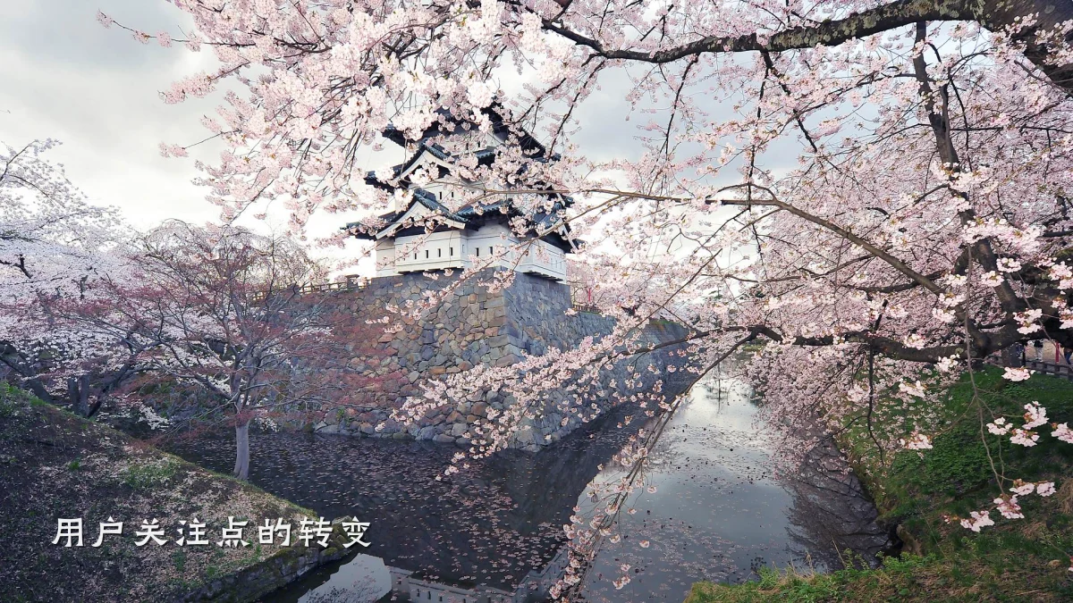 用户关注点的转变