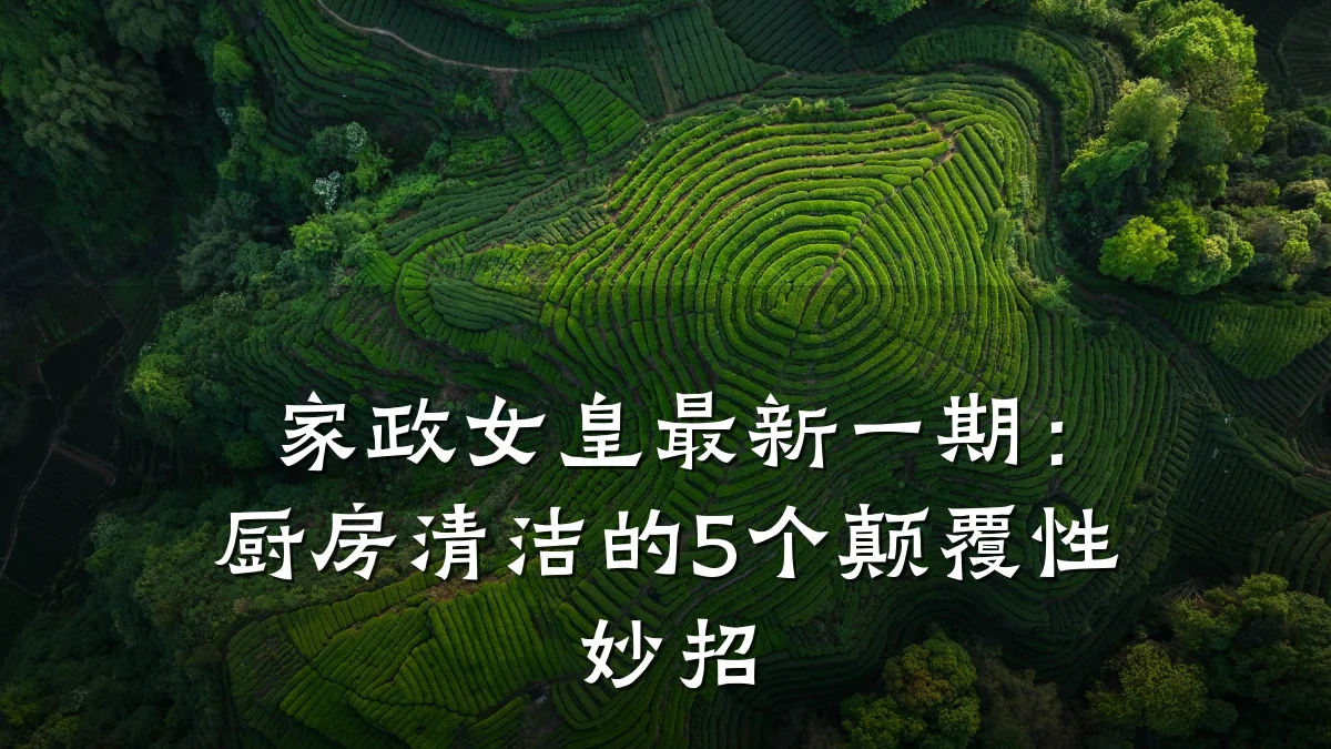 家政女皇最新一期:厨房清洁的5个颠覆性妙招