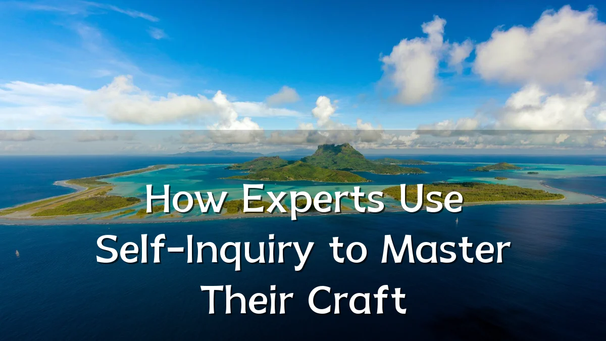 How Experts Use Self-Inquiry to Master Their Craft