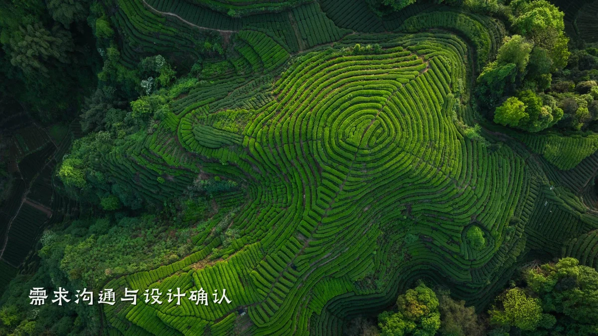 需求沟通与设计确认