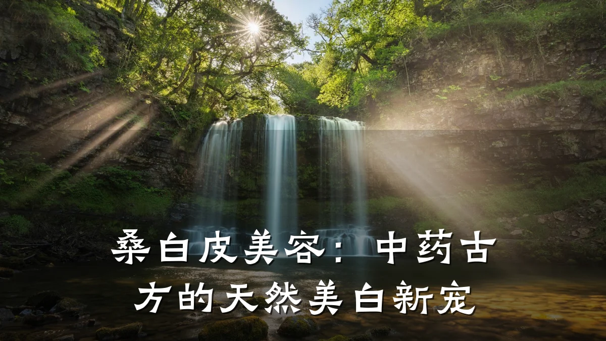 桑白皮美容：中药古方的天然美白新宠