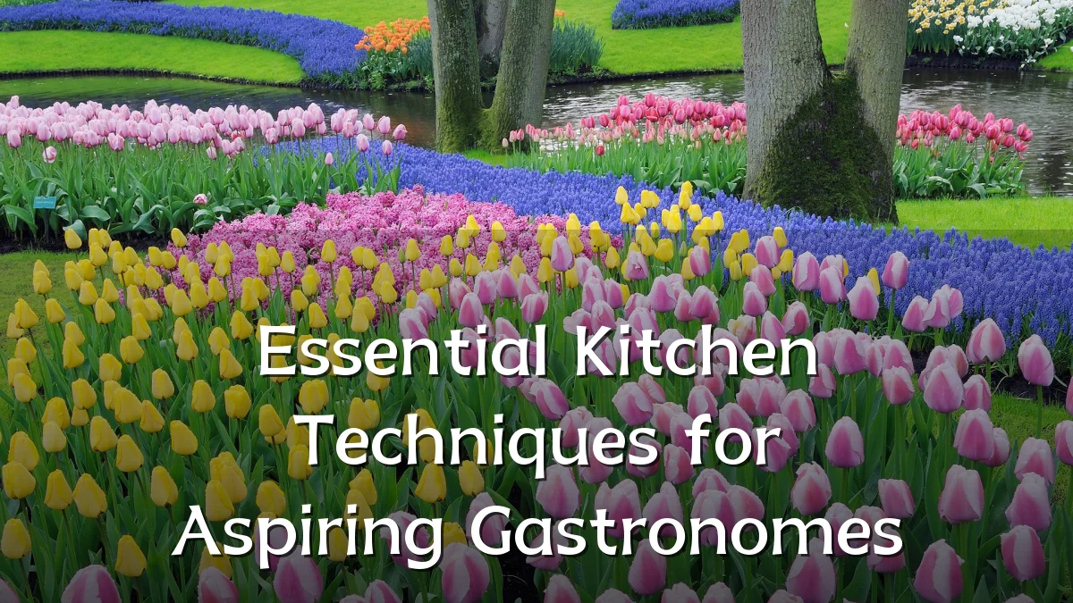 Essential Kitchen Techniques for Aspiring Gastronomes