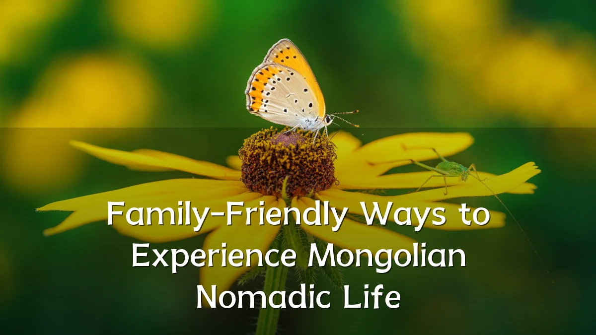 Family-Friendly Ways to Experience Mongolian Nomadic Life