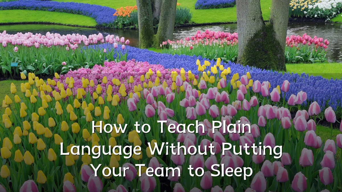 How to Teach Plain Language Without Putting Your Team to Sleep
