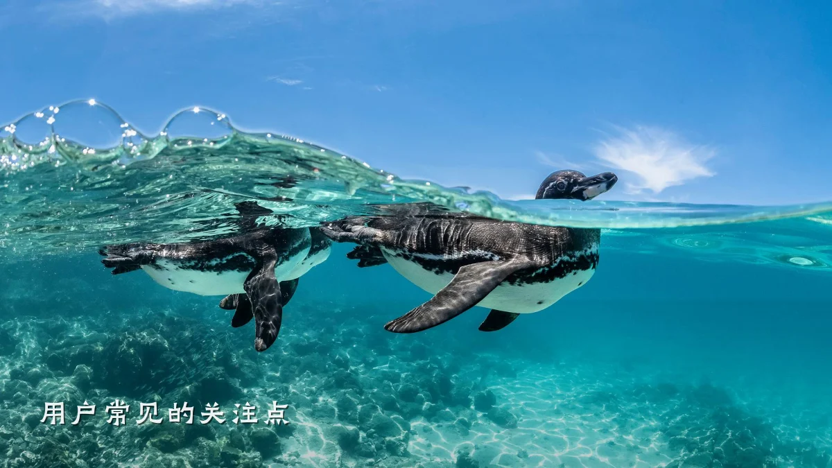 用户常见的关注点