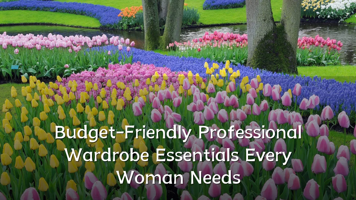 Budget-Friendly Professional Wardrobe Essentials Every Woman Needs