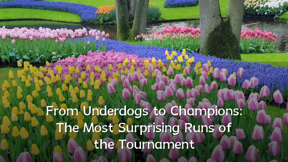 From Underdogs to Champions: The Most Surprising Runs of the Tournament