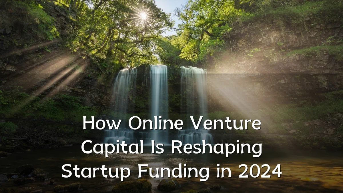How Online Venture Capital Is Reshaping Startup Funding in 2024