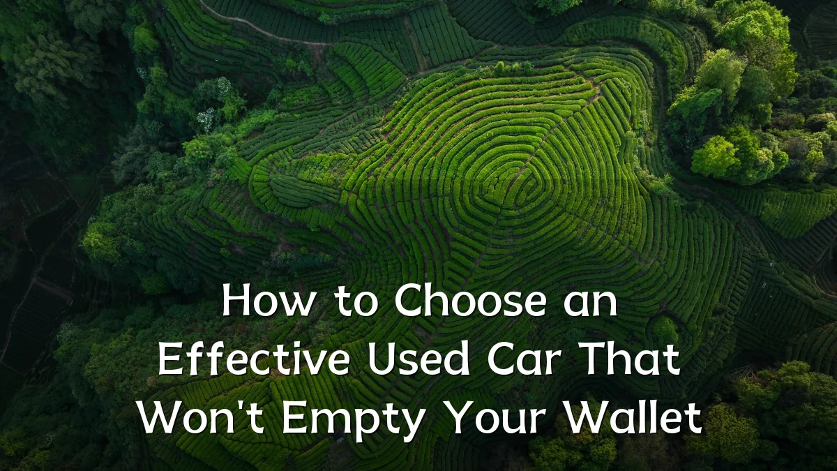 How to Choose an Effective Used Car That Won't Empty Your Wallet