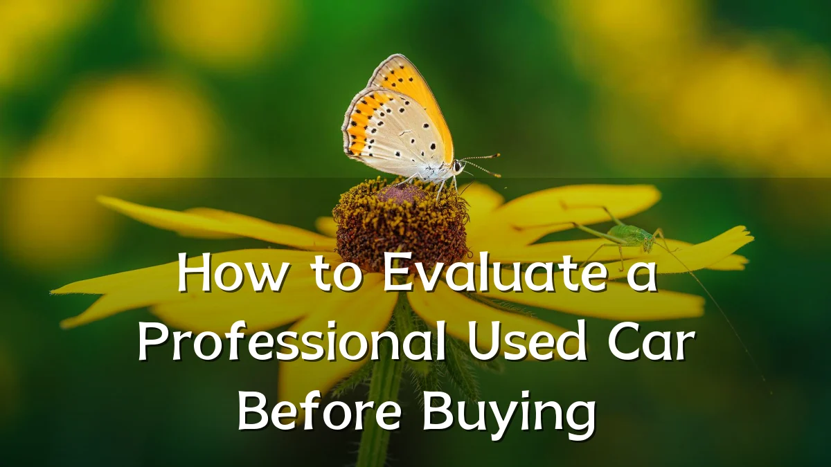 How to Evaluate a Professional Used Car Before Buying