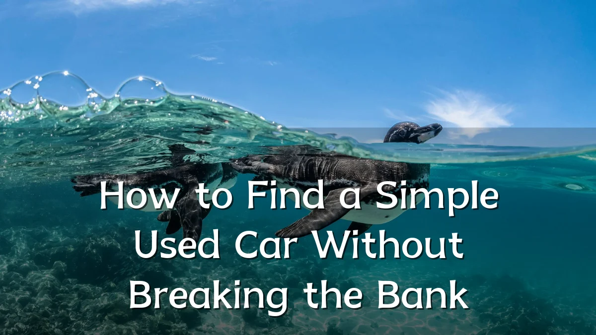 How to Find a Simple Used Car Without Breaking the Bank