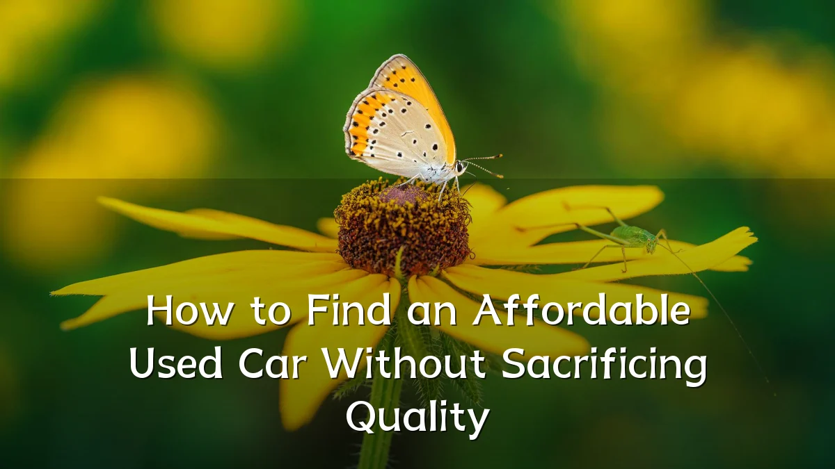 How to Find an Affordable Used Car Without Sacrificing Quality