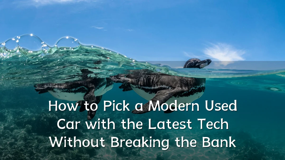 How to Pick a Modern Used Car with the Latest Tech Without Breaking the Bank