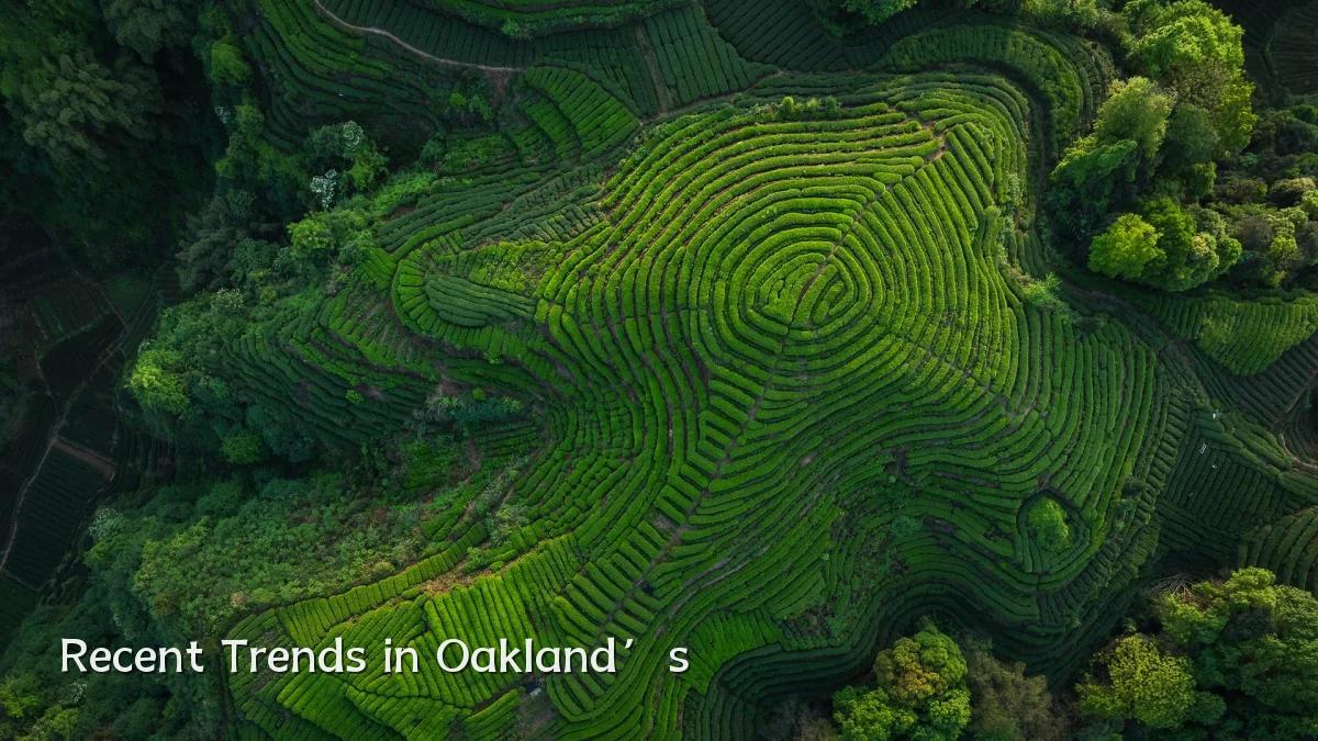 Recent Trends in Oakland’s