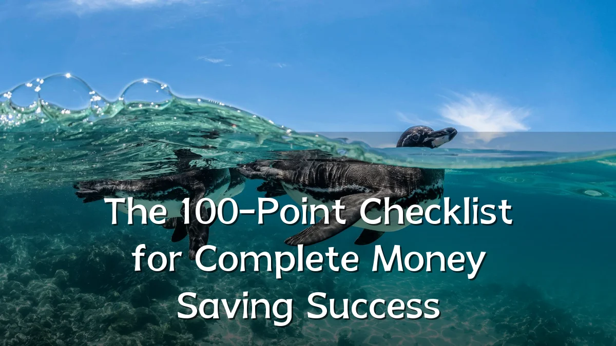 The 100-Point Checklist for Complete Money Saving Success