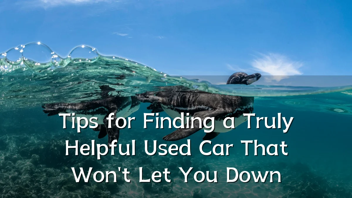 Tips for Finding a Truly Helpful Used Car That Won't Let You Down