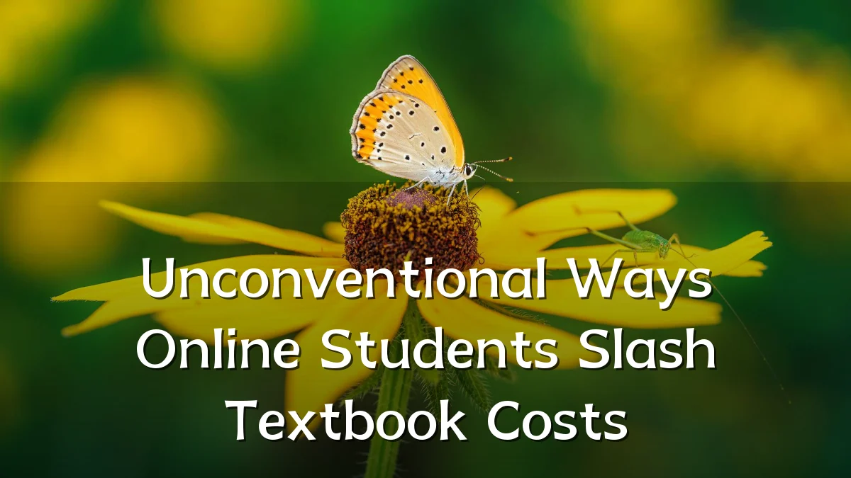 Unconventional Ways Online Students Slash Textbook Costs