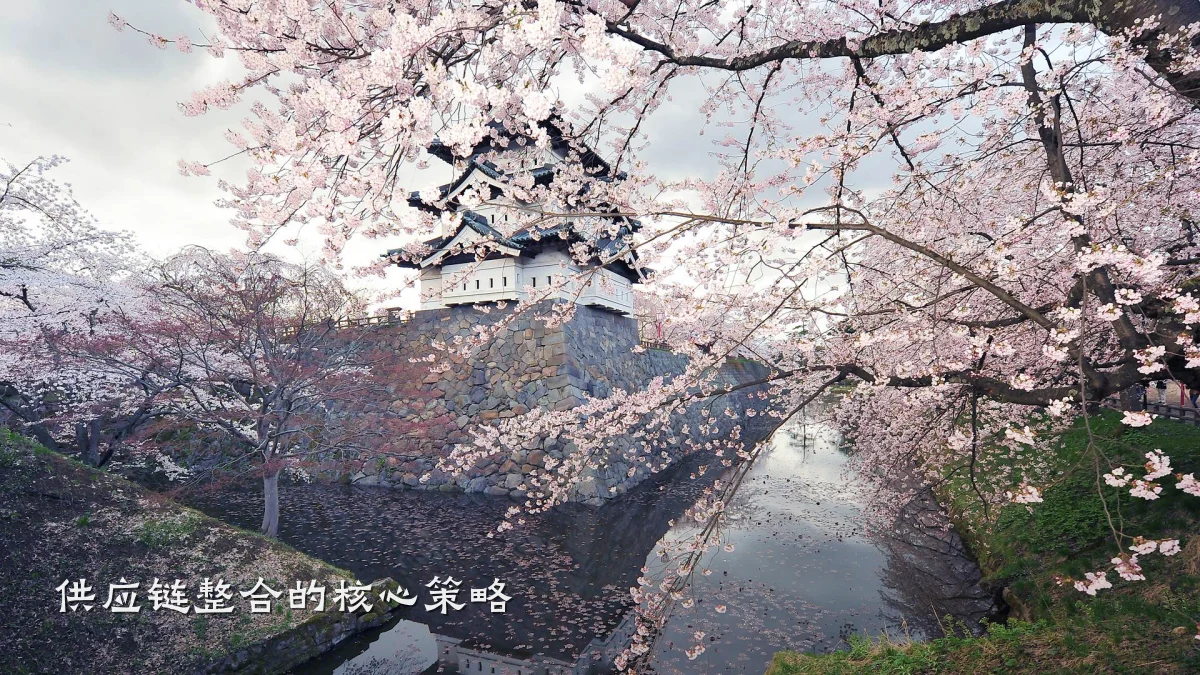 供应链整合的核心策略