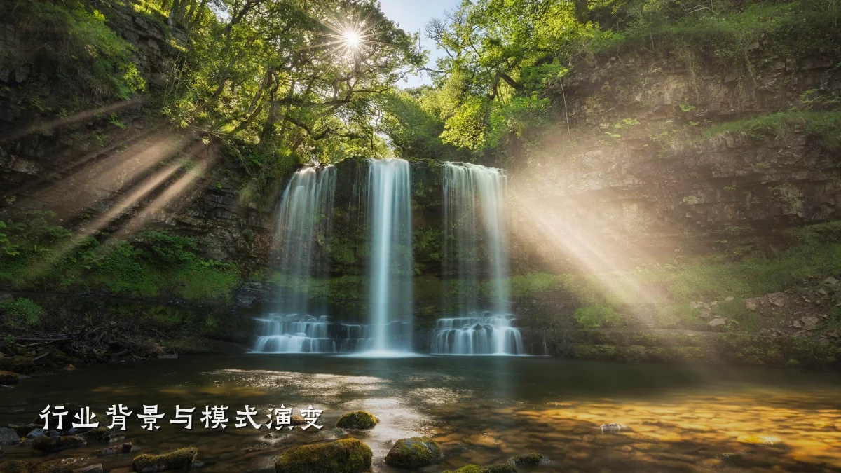 行业背景与模式演变