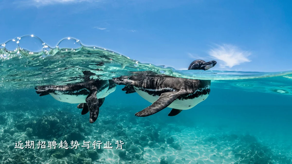 近期招聘趋势与行业背