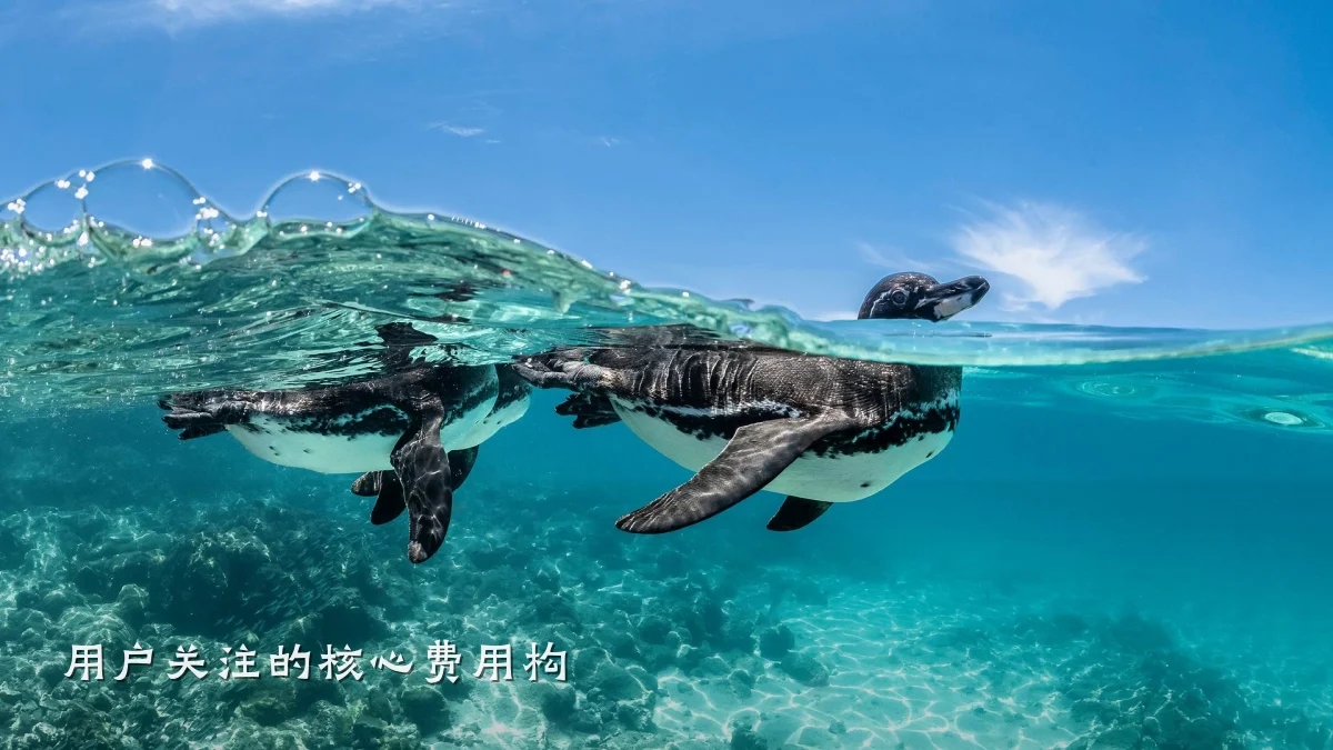 用户关注的核心费用构