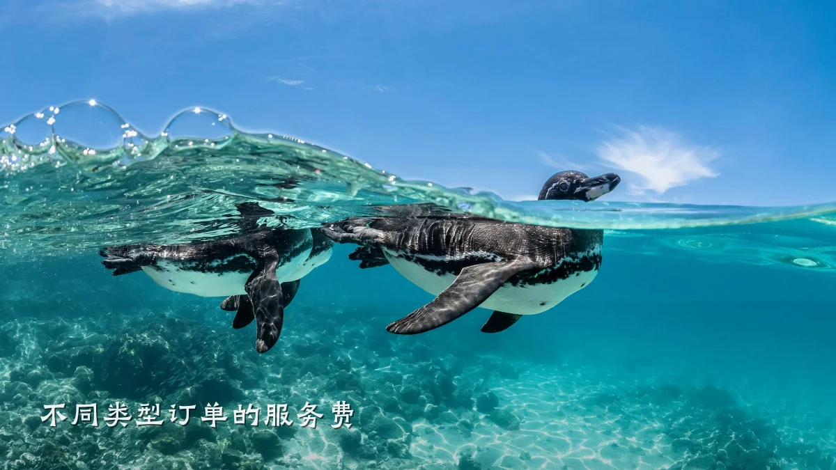 不同类型订单的服务费