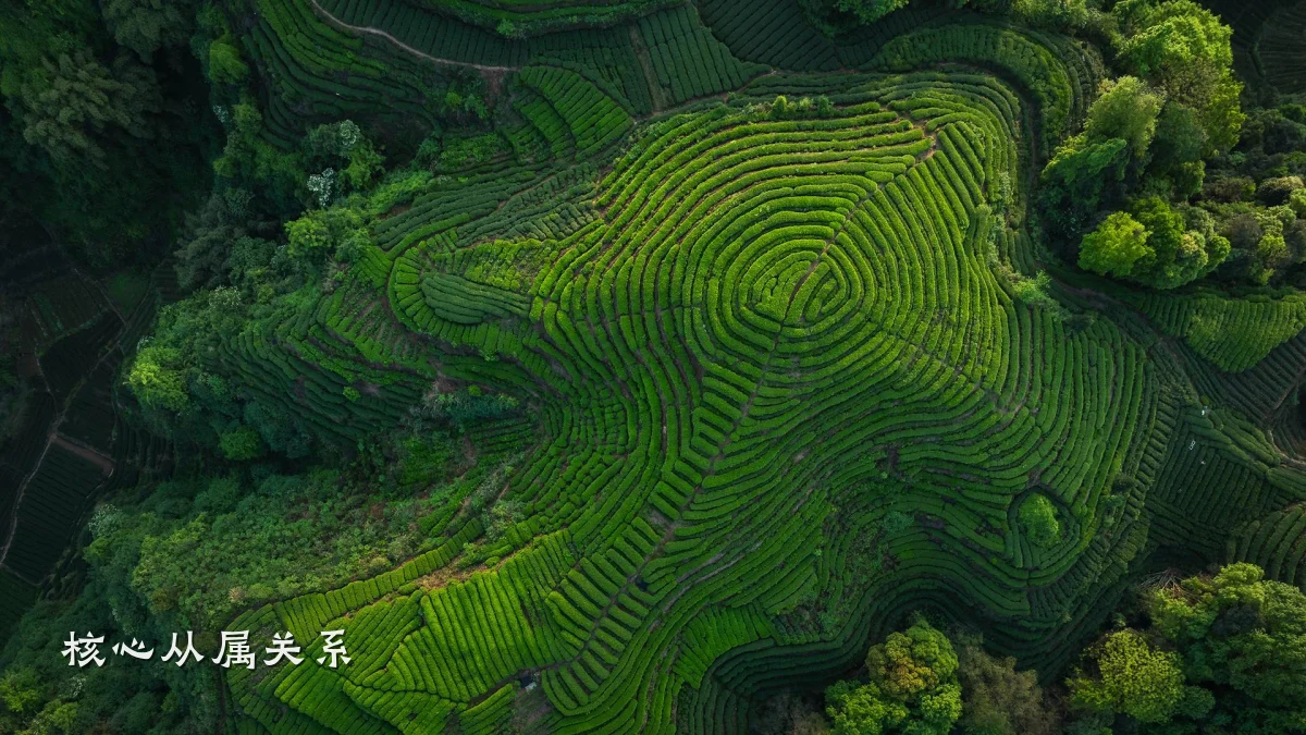 核心从属关系