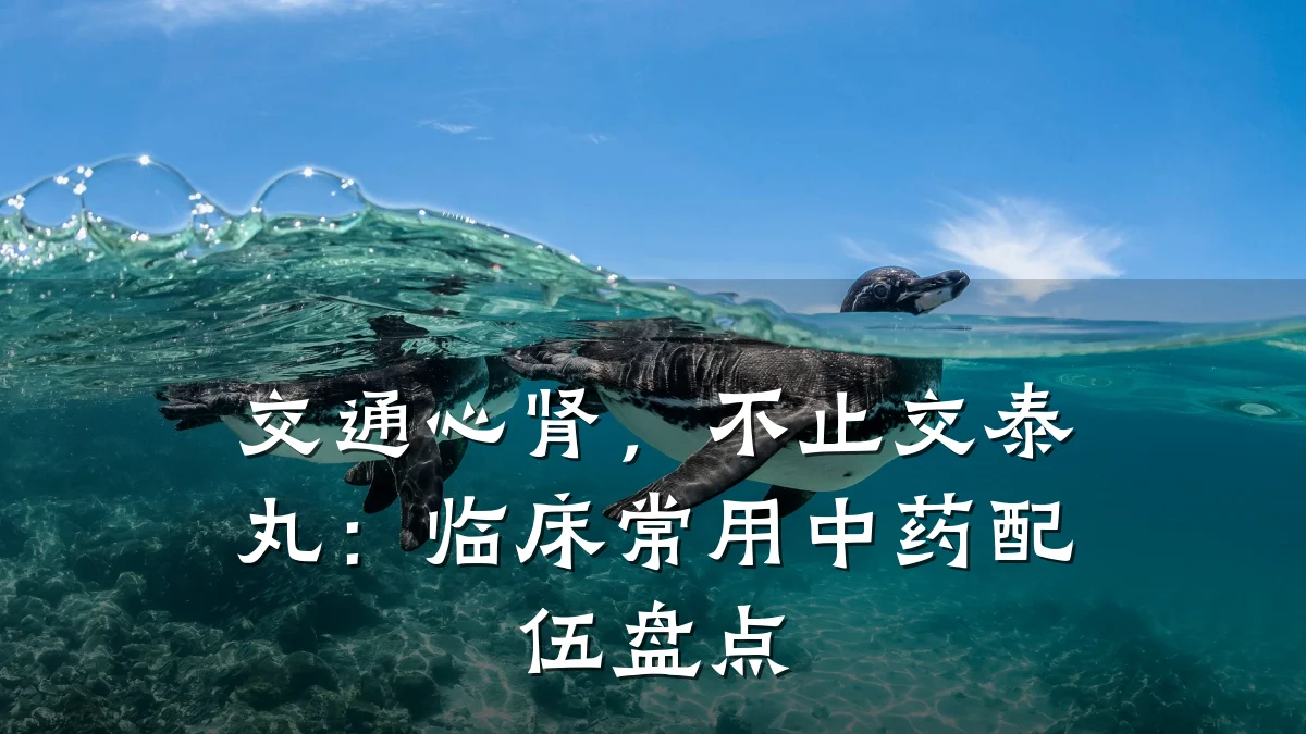 交通心肾,不止交泰丸:临床常用中药配伍盘点