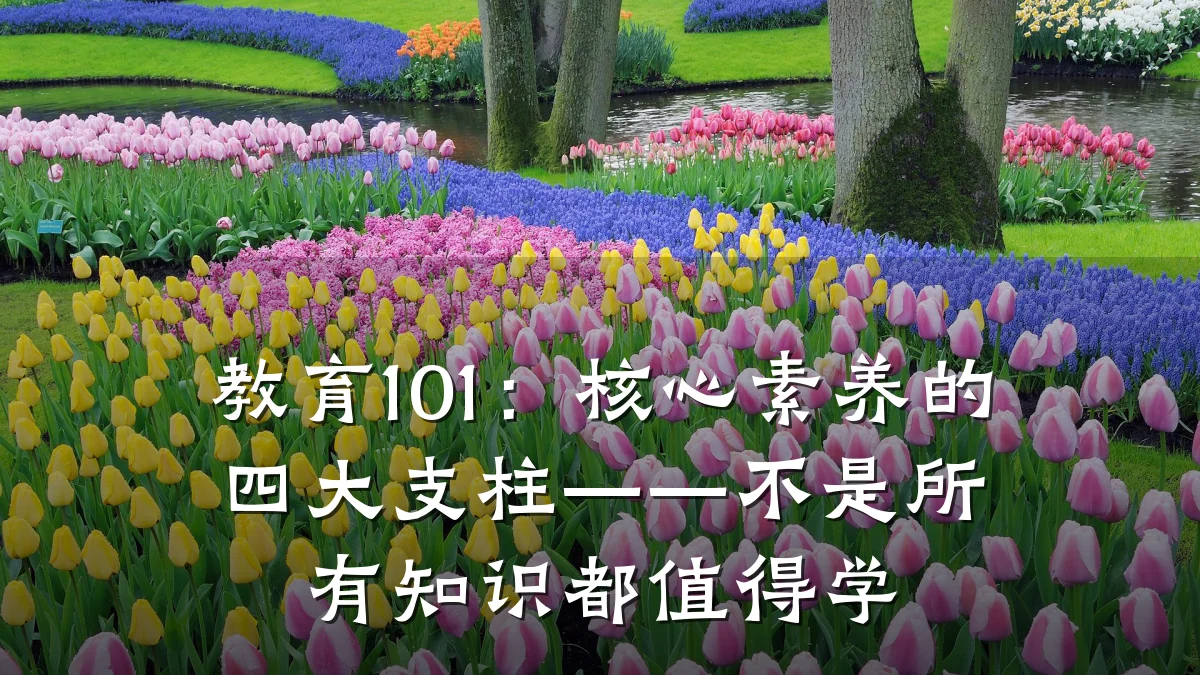 教育101：核心素养的四大支柱——不是所有知识都值得学