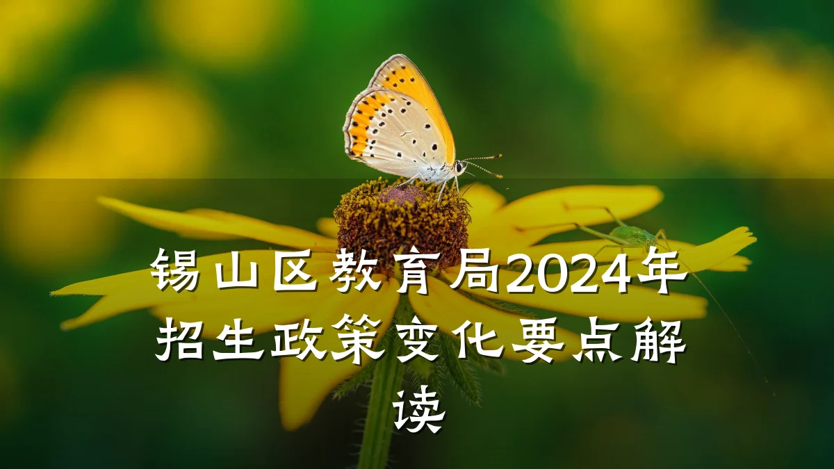 锡山区教育局2024年招生政策变化要点解读