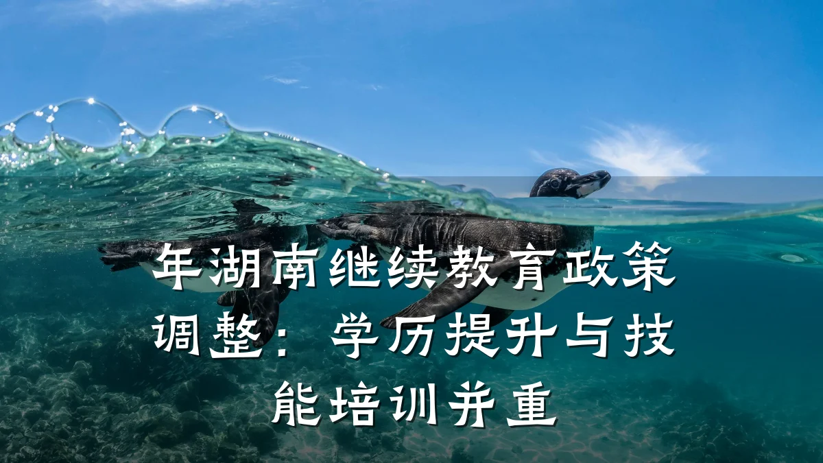 年湖南继续教育政策调整:学历提升与技能培训并重